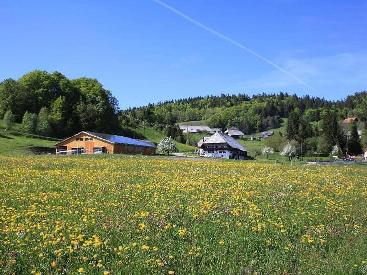 Bürschtehanse-Hof Ibach Exterior foto