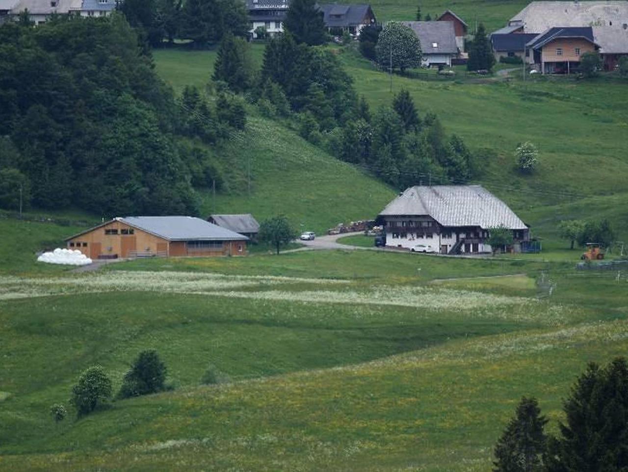 Bürschtehanse-Hof Ibach Exterior foto